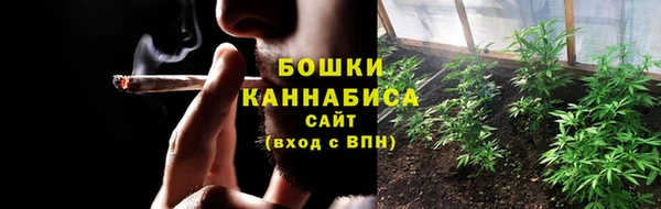 индика Иннополис