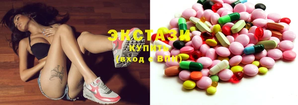 индика Иннополис