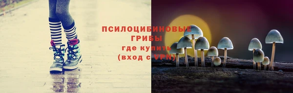 индика Иннополис