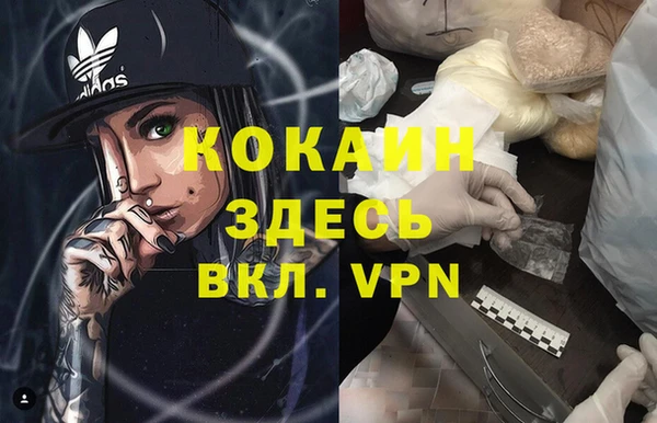 PSILOCYBIN Инсар