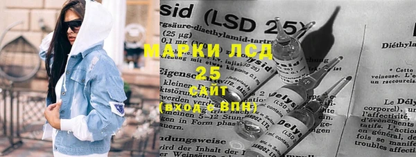 PSILOCYBIN Инсар