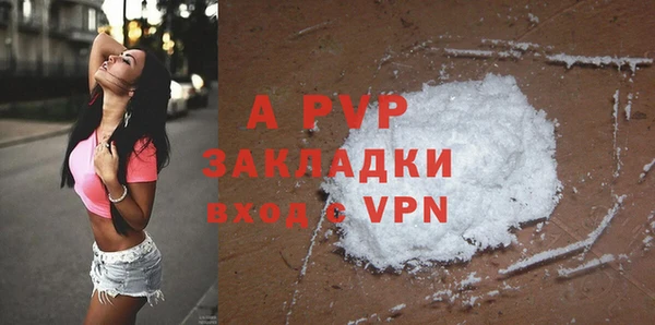 PSILOCYBIN Инсар