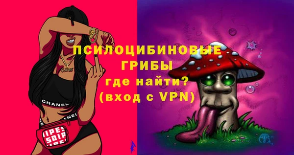PSILOCYBIN Инсар