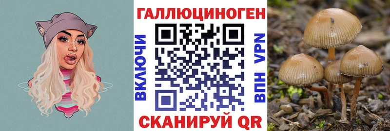 Галлюциногенные грибы GOLDEN TEACHER  Купить  Сельцо 