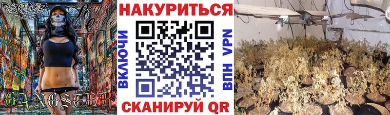 Шишки марихуана сатива  Купить  Сельцо 